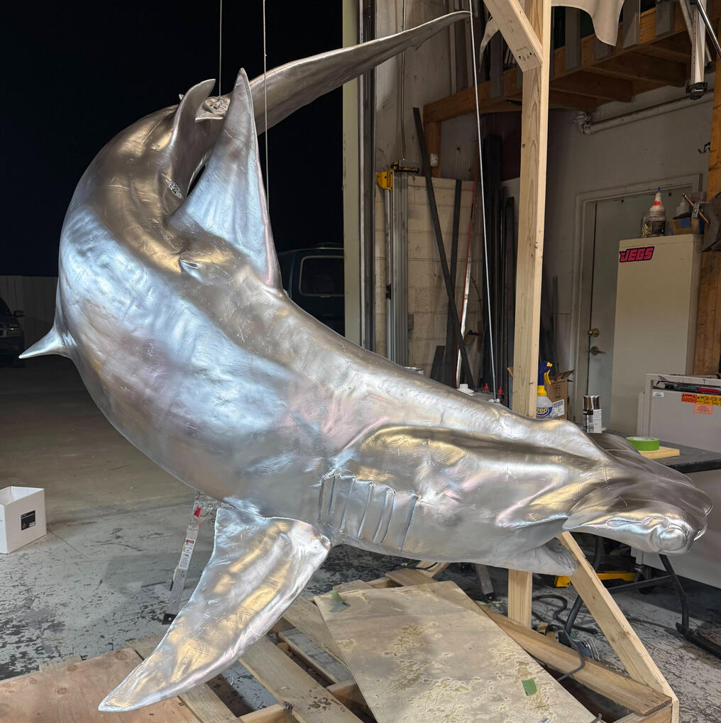 Silver Surfer Shark Silver Surfer Shark