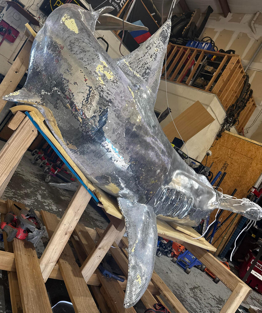 Disco Shark Side Disco Shark Side